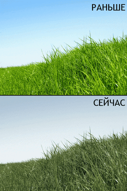 Oldfag-Grass.gif